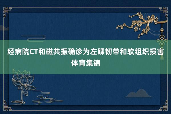 经病院CT和磁共振确诊为左踝韧带和软组织损害体育集锦