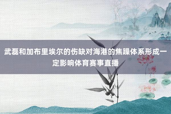 武磊和加布里埃尔的伤缺对海港的焦躁体系形成一定影响体育赛事直播