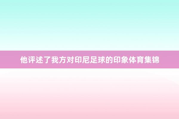 他评述了我方对印尼足球的印象体育集锦