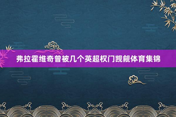 弗拉霍维奇曾被几个英超权门觊觎体育集锦