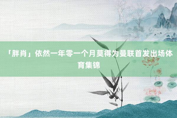 「胖肖」依然一年零一个月莫得为曼联首发出场体育集锦