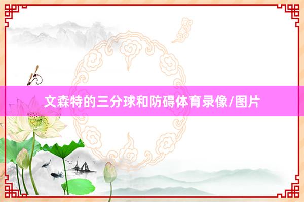 文森特的三分球和防碍体育录像/图片