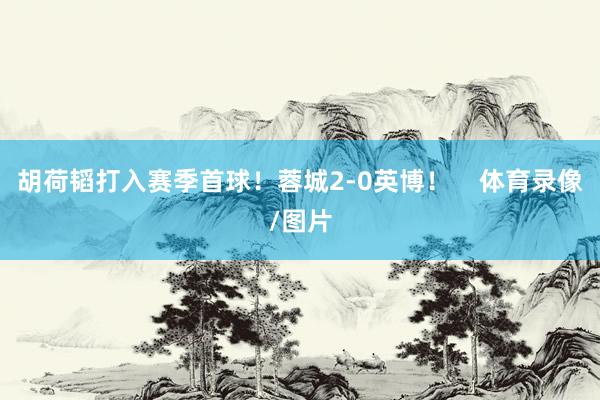胡荷韬打入赛季首球！蓉城2-0英博！    体育录像/图片