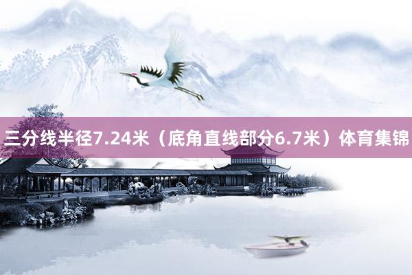 三分线半径7.24米（底角直线部分6.7米）体育集锦