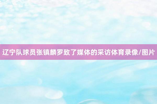 辽宁队球员张镇麟罗致了媒体的采访体育录像/图片