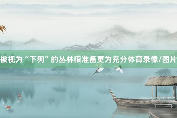 被视为“下狗”的丛林狼准备更为充分体育录像/图片