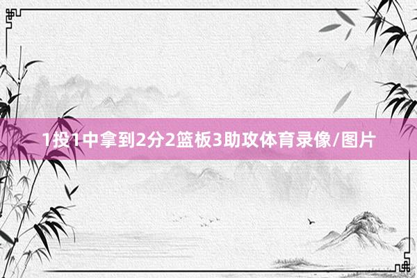 1投1中拿到2分2篮板3助攻体育录像/图片