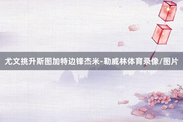 尤文挑升斯图加特边锋杰米-勒威林体育录像/图片