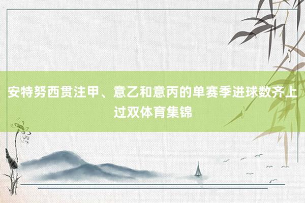 安特努西贯注甲、意乙和意丙的单赛季进球数齐上过双体育集锦