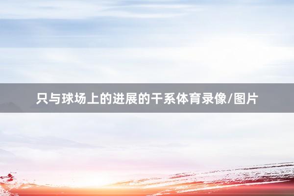 只与球场上的进展的干系体育录像/图片