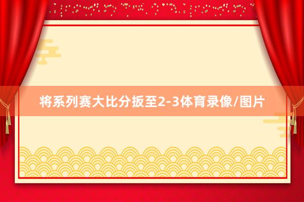 将系列赛大比分扳至2-3体育录像/图片