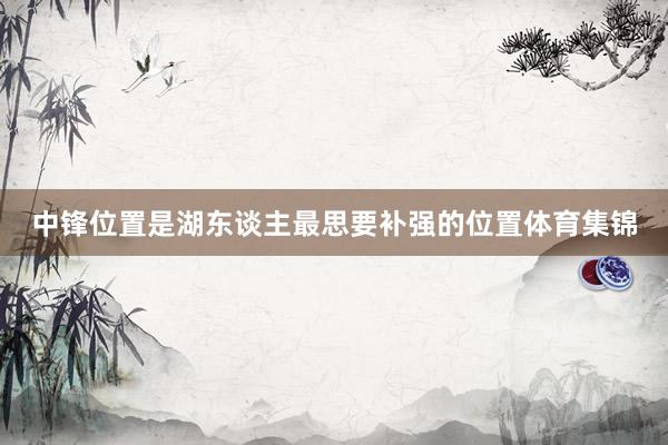 中锋位置是湖东谈主最思要补强的位置体育集锦
