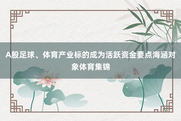 A股足球、体育产业标的成为活跃资金要点海涵对象体育集锦