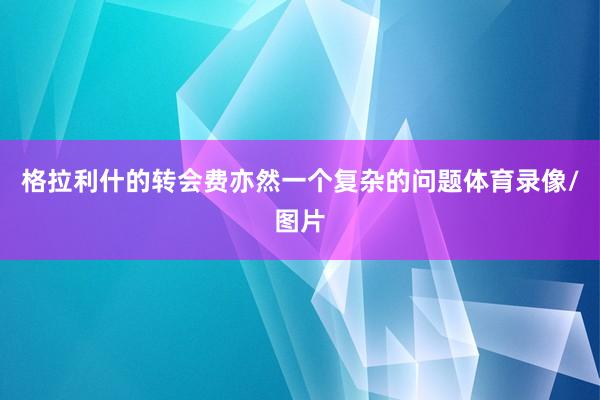 格拉利什的转会费亦然一个复杂的问题体育录像/图片