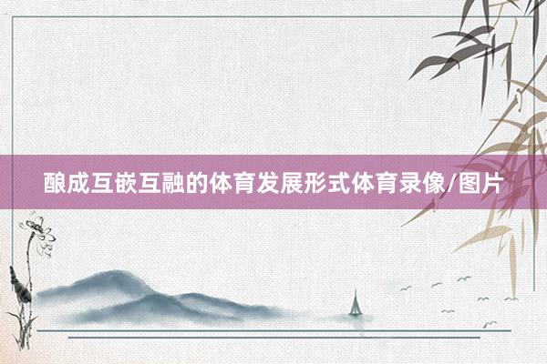 酿成互嵌互融的体育发展形式体育录像/图片
