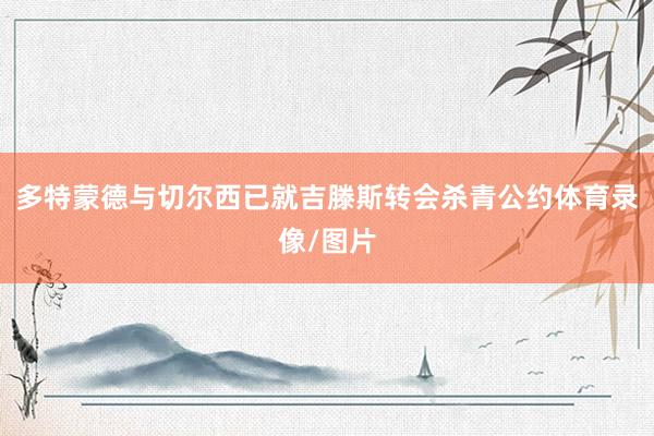 多特蒙德与切尔西已就吉滕斯转会杀青公约体育录像/图片