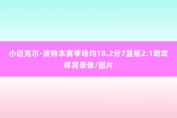 小迈克尔-波特本赛季场均18.2分7篮板2.1助攻体育录像/图片