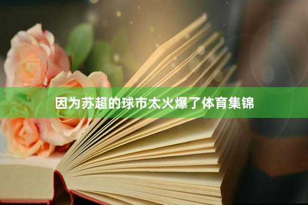 因为苏超的球市太火爆了体育集锦