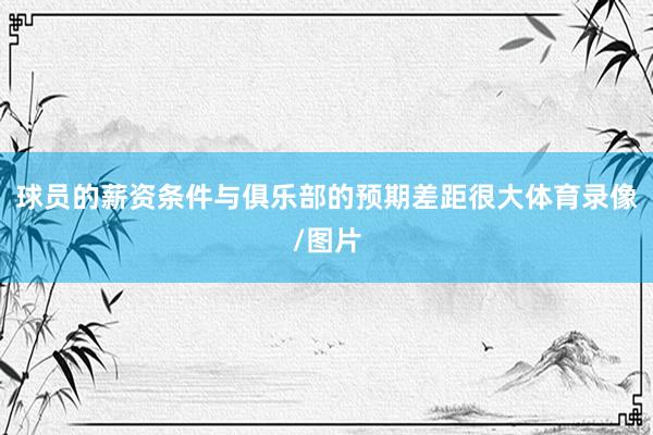球员的薪资条件与俱乐部的预期差距很大体育录像/图片