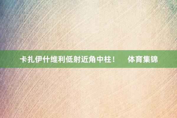 卡扎伊什维利低射近角中柱！    体育集锦