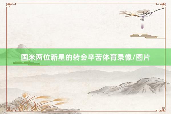 国米两位新星的转会辛苦体育录像/图片
