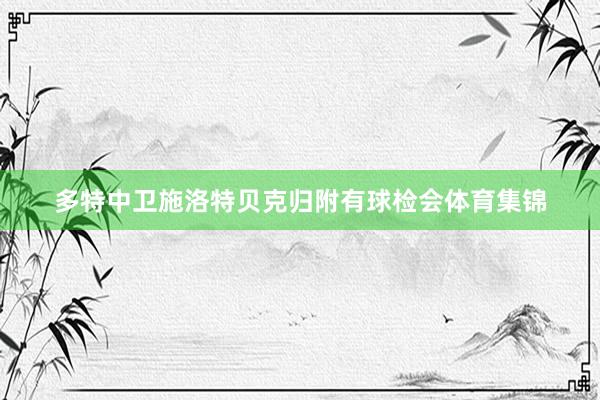 多特中卫施洛特贝克归附有球检会体育集锦