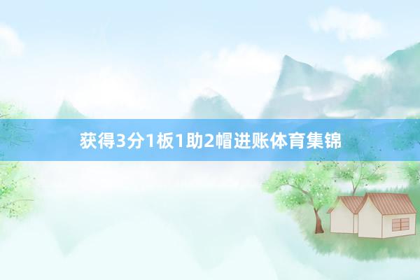获得3分1板1助2帽进账体育集锦