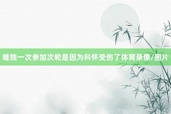 唯独一次参加次轮是因为科怀受伤了体育录像/图片