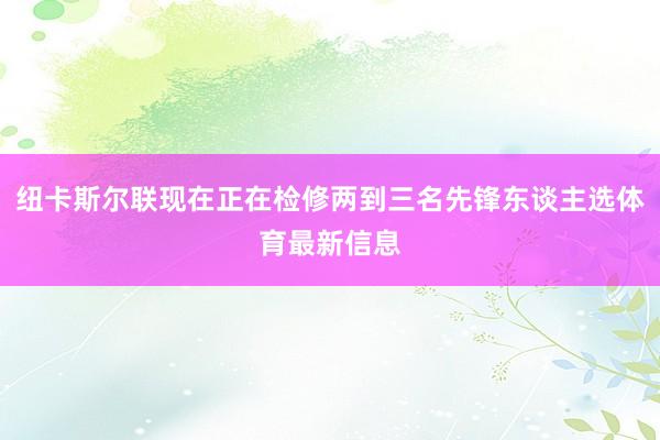 纽卡斯尔联现在正在检修两到三名先锋东谈主选体育最新信息
