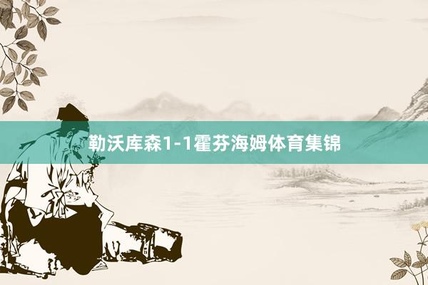 勒沃库森1-1霍芬海姆体育集锦