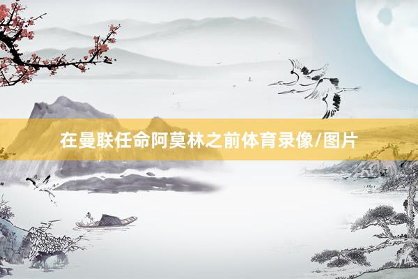 在曼联任命阿莫林之前体育录像/图片