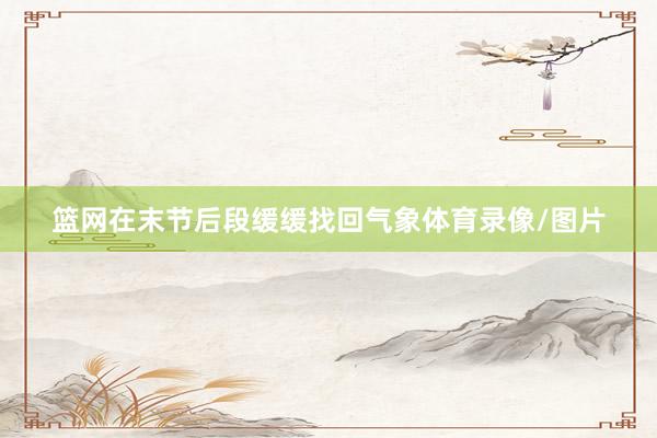 篮网在末节后段缓缓找回气象体育录像/图片