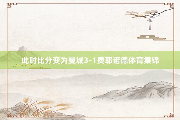此时比分变为曼城3-1费耶诺德体育集锦