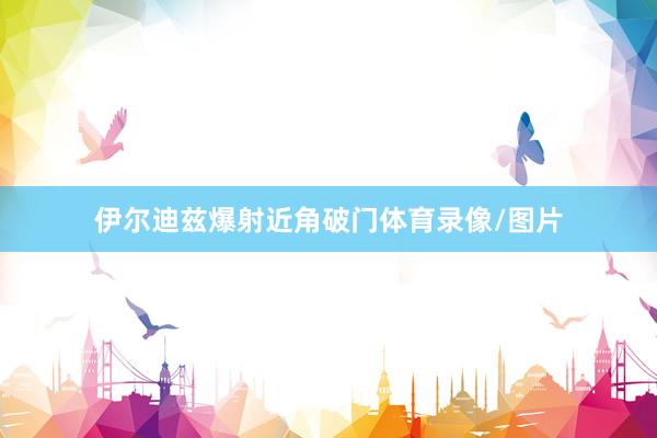 伊尔迪兹爆射近角破门体育录像/图片