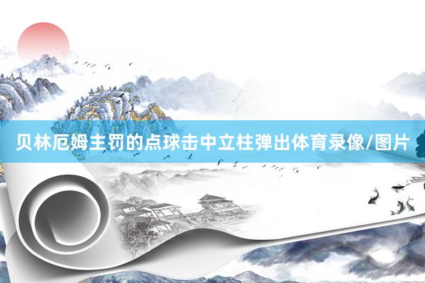 贝林厄姆主罚的点球击中立柱弹出体育录像/图片