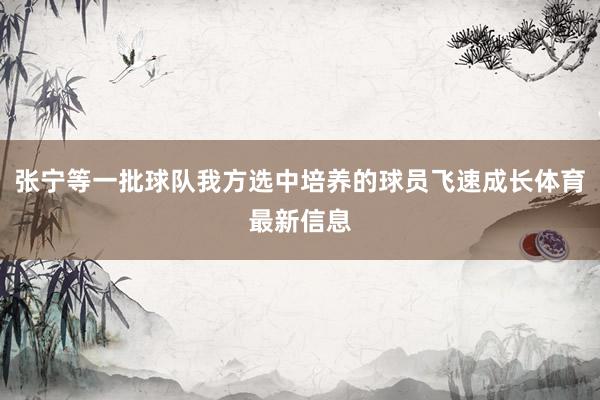 张宁等一批球队我方选中培养的球员飞速成长体育最新信息