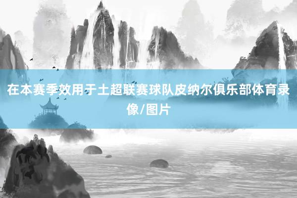 在本赛季效用于土超联赛球队皮纳尔俱乐部体育录像/图片