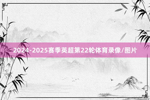2024-2025赛季英超第22轮体育录像/图片