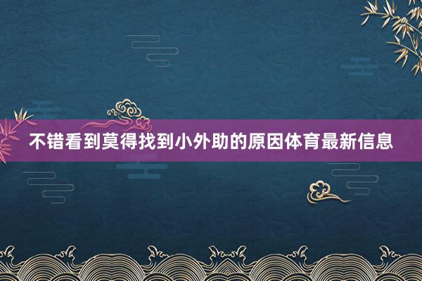 不错看到莫得找到小外助的原因体育最新信息