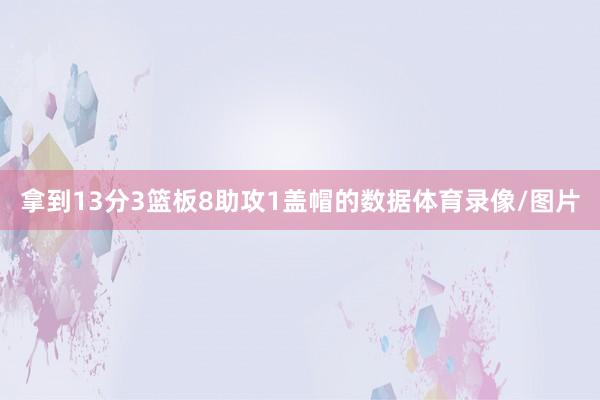 拿到13分3篮板8助攻1盖帽的数据体育录像/图片