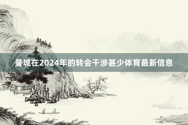 曼城在2024年的转会干涉甚少体育最新信息